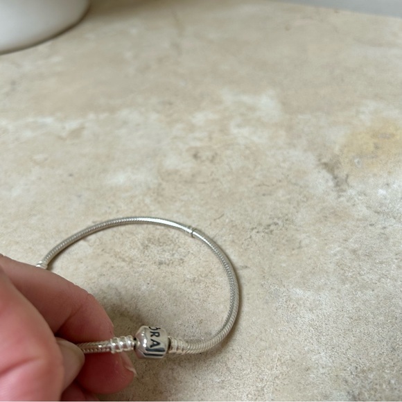 Pandora Moments 925 sterling silver snake chain classic charm bracelet EUC! - Picture 8 of 10